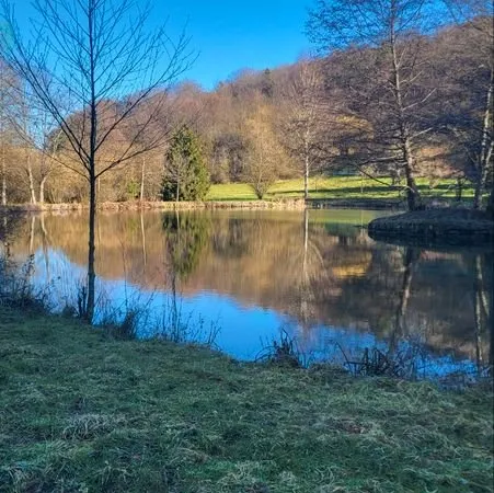 Terrain avec etang