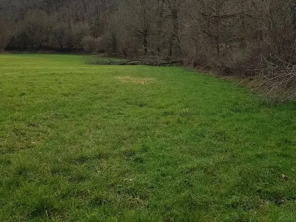 Bien agricole et foncier Vente Villefranche-de-Rouergue   12000€