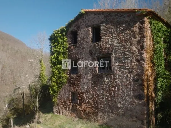 Ruine 76m²/4110m² - Lamanère