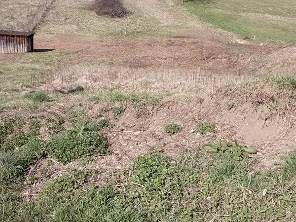 Terrain constructible