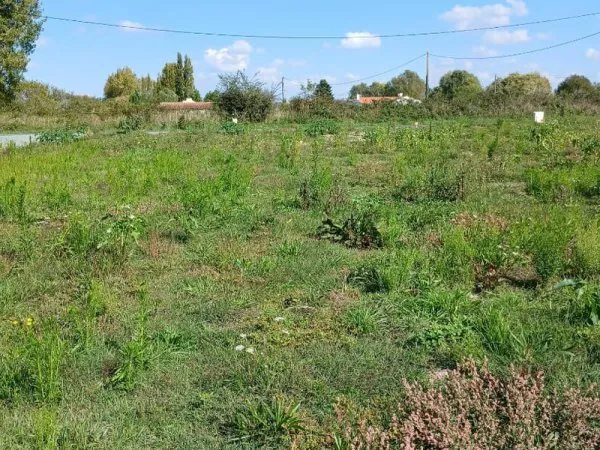 Terrain Saint Jean De Monts 601m2