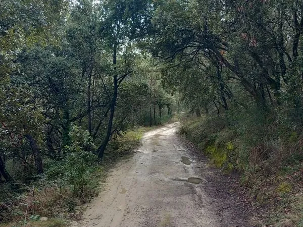 Cabanon terrain