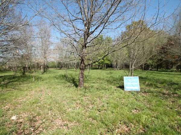 Terrain constructible plat et boisé 1029m² à vendre proche de CASTELJALOUX (47)