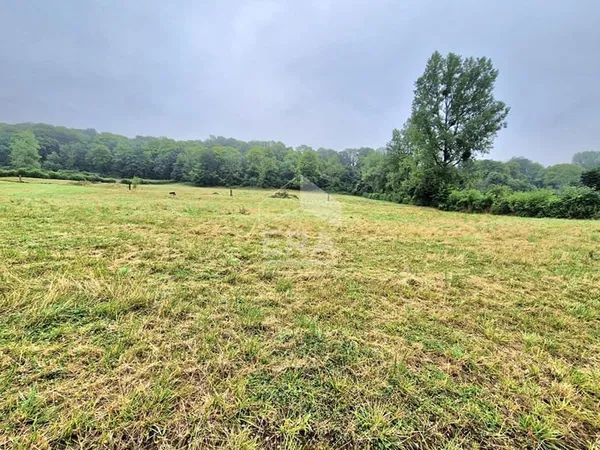 Terrain 1000 m²
