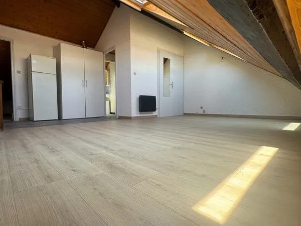 📍 Grenoble - Grand studio 40m2 au sol, lumineux avec kitchenette équipée
