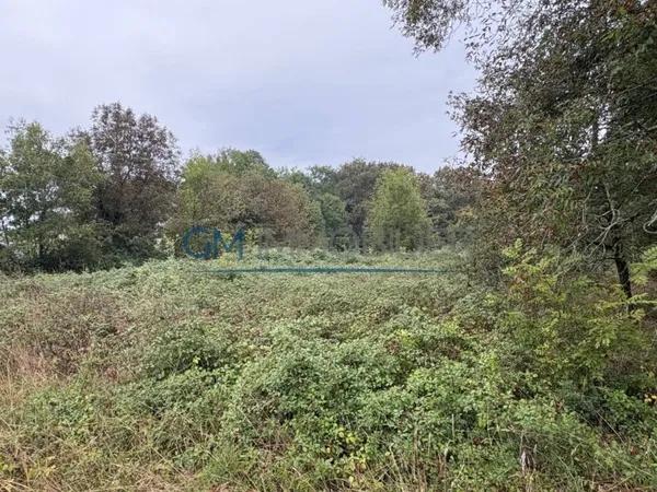 Terrain 5200 m²