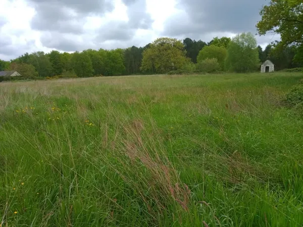 Terrain de loisir
