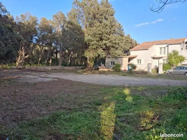 Terrain constructible 587 m2 Pietracorbara 1 km de la plage