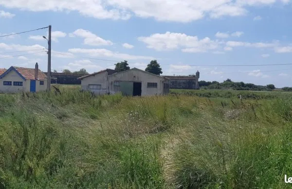 Cabane Ostréicole à Cèder