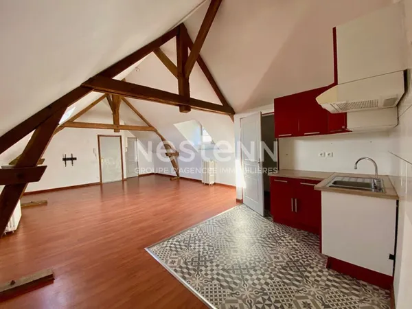 APPARTEMENT DE STANDING - CADRE HISTORIQUE - 2 PARKINGS
