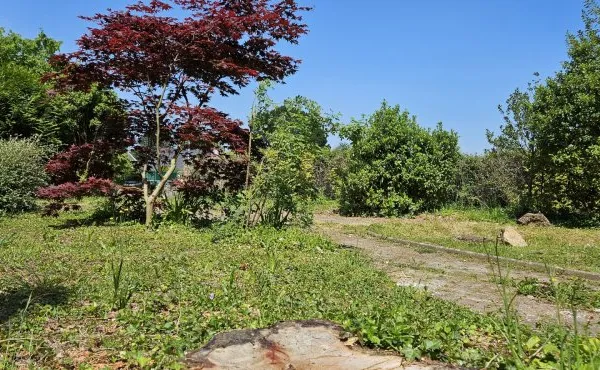 Terrain 256 m²