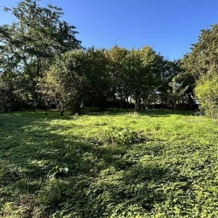 Terrain constructible 1445 m²