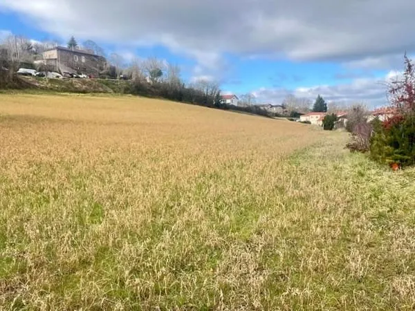 Terrain Saint Benoit De Carmaux 16000 m2
