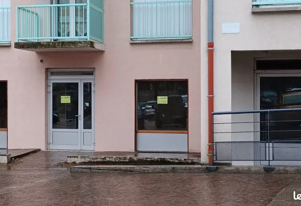 Local d'activité (murs) 110m2