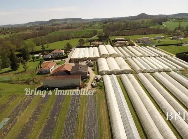 Exploitation horticole à vendre - Dausse (47) - 4 ha avec s