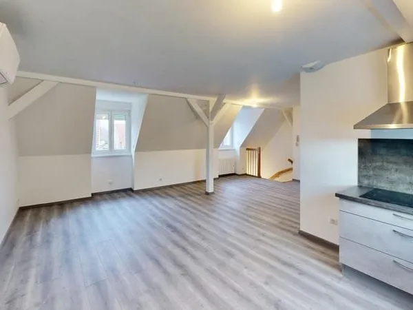 Bischwiller Grand 2 pièces de 53 M2