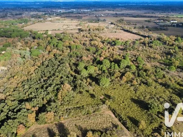 Terrain 17246 m²
