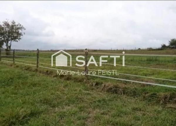 A 10 mn de Loches 37600 : votre futur projet immobilier sur un beau terrain à bâtir ! Vous rêvez de 