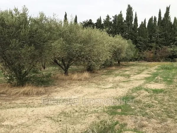 Vente terrain à bâtir