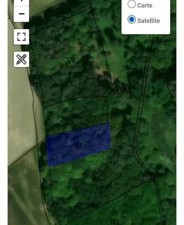 Terrain/bois sur pied