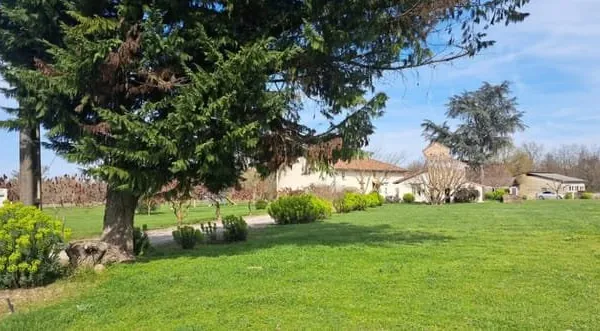 Maison Montauban 11 pièce(s) 366 m2