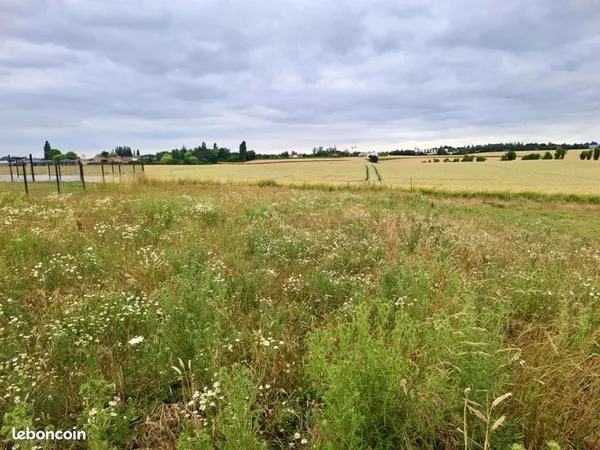 Terrain à bâtir