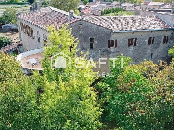 Chateau Medieval Renove 550M2 / Gîtes / Piscine / 2Ha de terrain