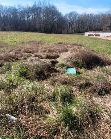 Terrain calme à bâtir en bordure de forêt