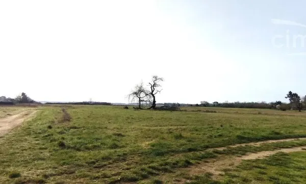 Terrain constructible viabilisé 8206 m²