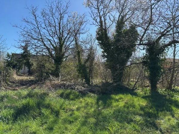 Terrain 650 m²