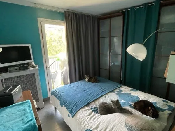 Chambre à louer