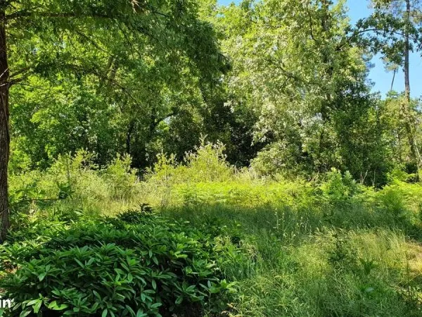 Terrain 769 m² Bouliac