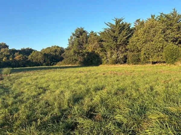 Terrain 313 m²