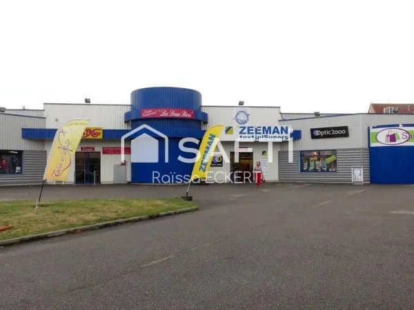 392 m² ZONE COMMERCIALE VOLGELSHEIM - AXE ALLEMAGNE / COLMAR - OPPORTUNITÉ IMMÉDIATE