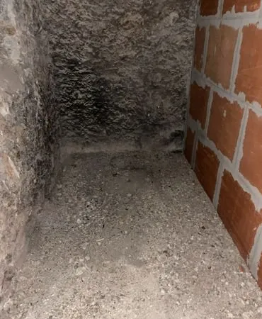 Location cave Paris 20