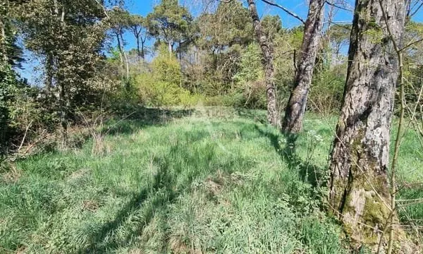 Terrain 800 m²