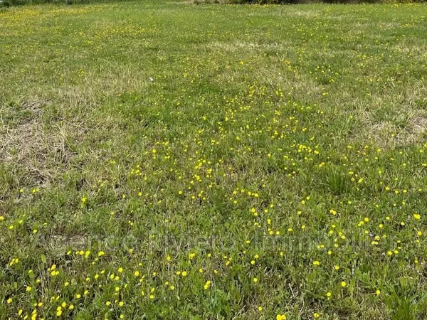 Terrain 1000 m²