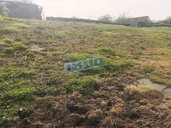 Terrain 494 m²