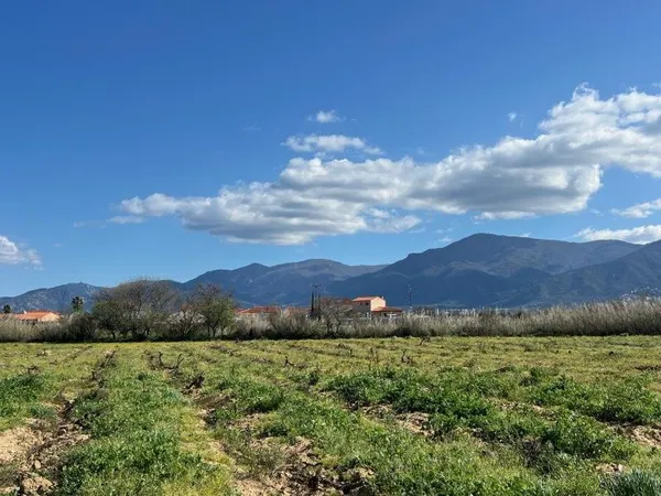 Terrain à bâtir Vente Brouilla  190m² 72500€
