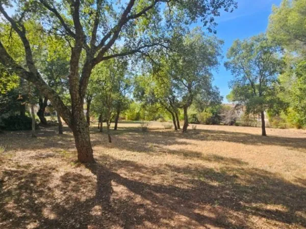 Terrain 1007 m²