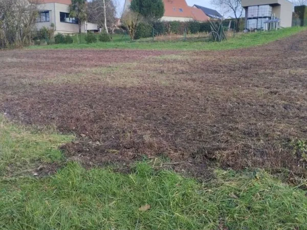 Terrain constructible borné
