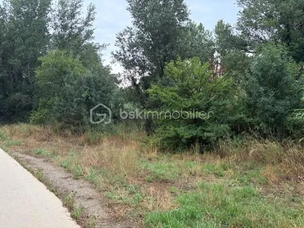 Terrain agricole 3299 m2