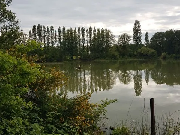 Grand Etang + terrain