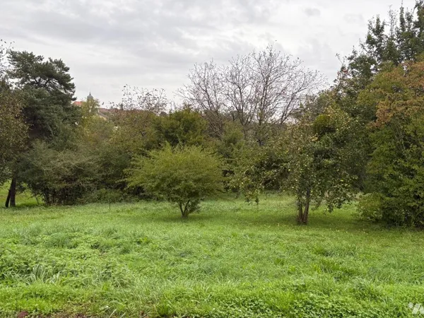Terrain 709 m²