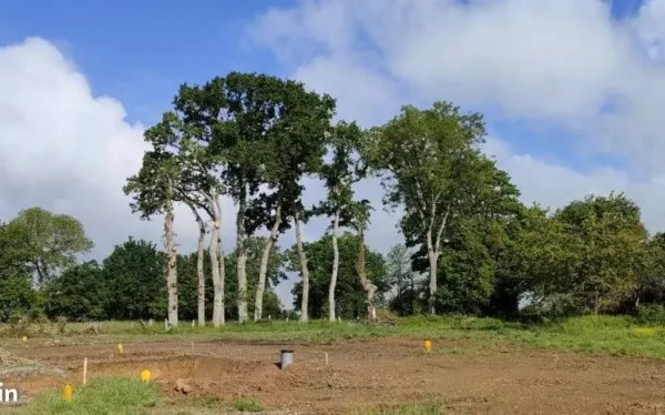 Terrain 337 m² Andouille Neuville