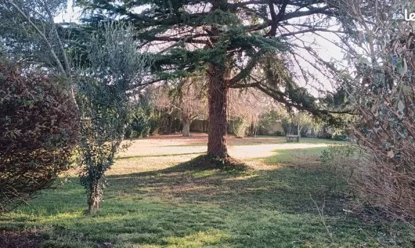 Maison 175 m² 5 pièces