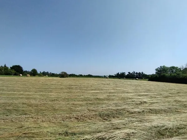 Grand terrain constructible de 3925 m² à Castelnau-Montratier