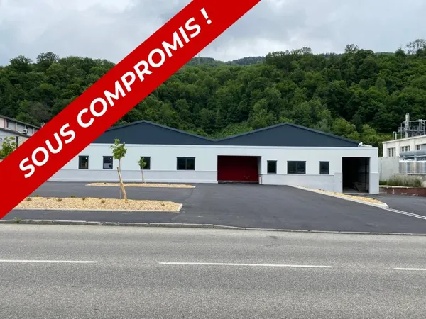 Local professionnel 249 m²