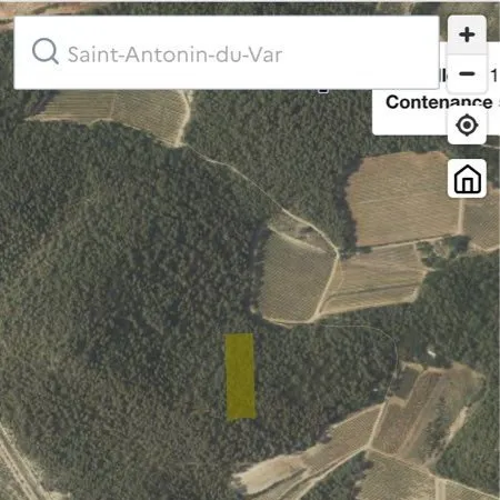 Terrain forestier