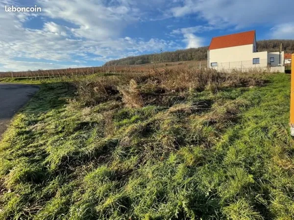 Terrain 643 m² Soultzmatt